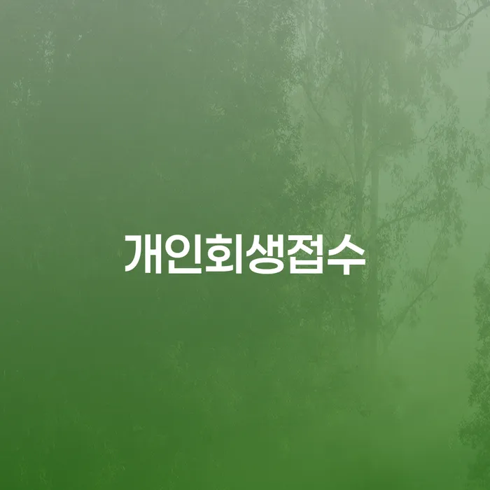 빚갚기 개인회생 문제해결방법 있어도
