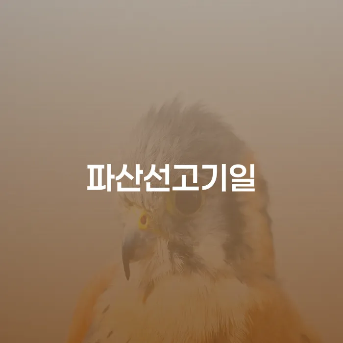 채무 빚 합법적인 빠른방법 지식을