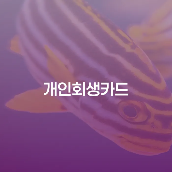 구로구 개인회생기각 빚청산 필수는