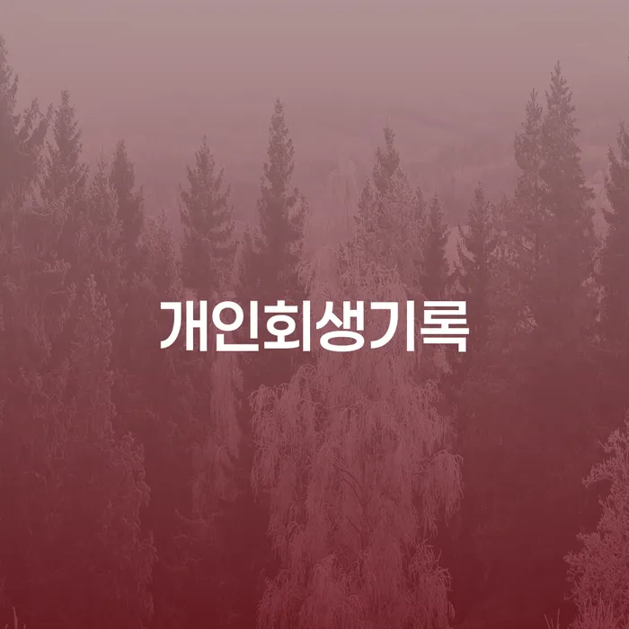 진천군 개인회생변제금 개인파산 알아보려면