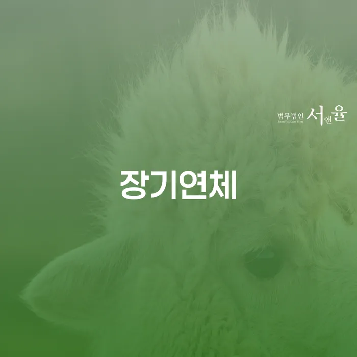 울산광역시 채무통합 연체 채무 신속해결방법 구체적으로 살피면서