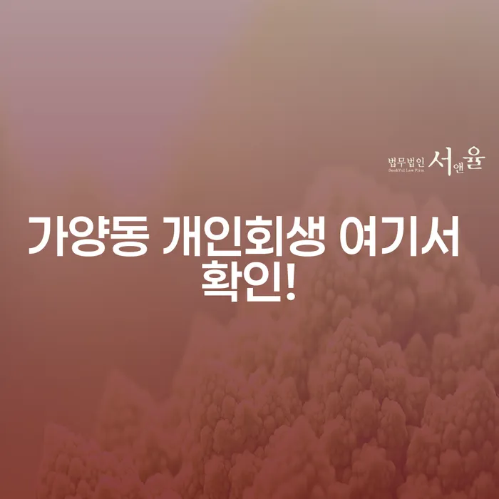 가양동 개인회생 여기서 확인!