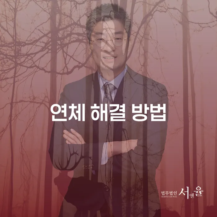 연체 해결 방법: 개인회생과 개인파산, 그 선택의 갈림길에서
