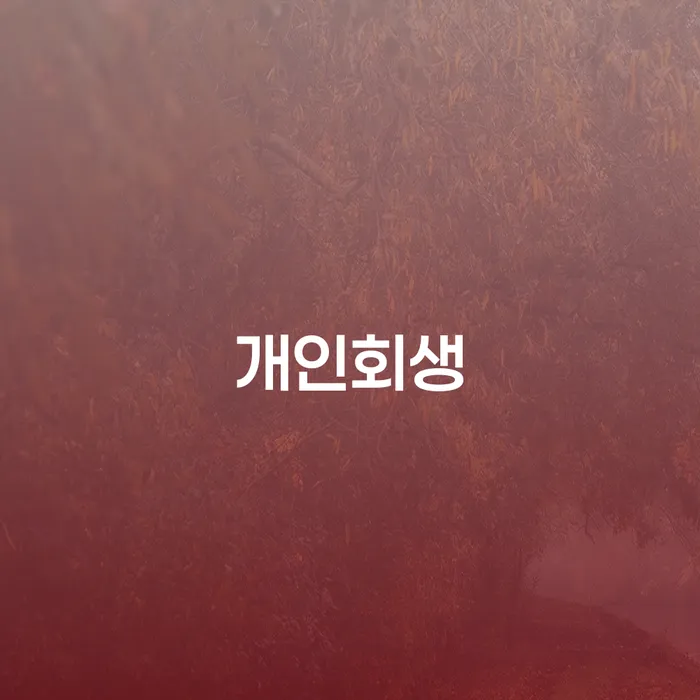 등촌3동 개인회생의 기회와 절차