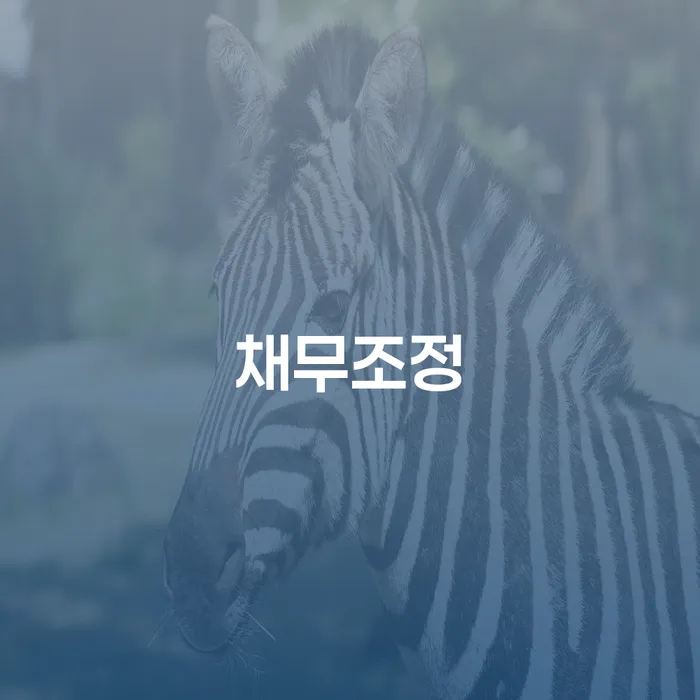 48살 대출 채무자 7370만원 채무조정 가능한가요?