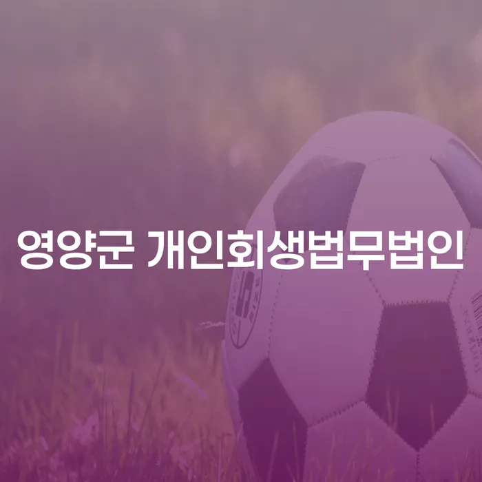 영양군 개인회생법무법인과 영주시 개인회생사무소를 통해 채무를 해결할 수 있을까?