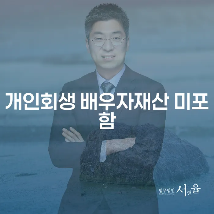 개인회생 시 배우자 재산이 포함되지 않는 이유는 무엇인가요?
